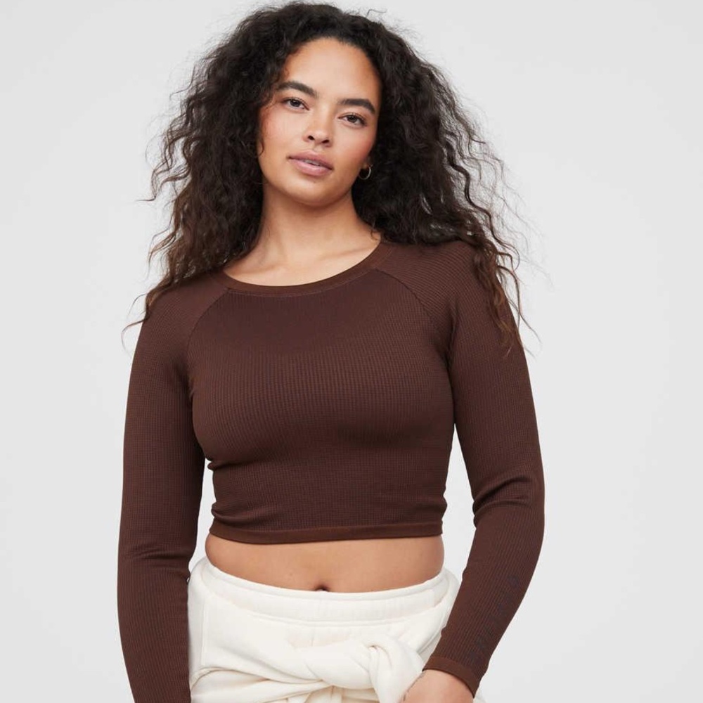 Brand New Aerie Long Sleeve Crop Top